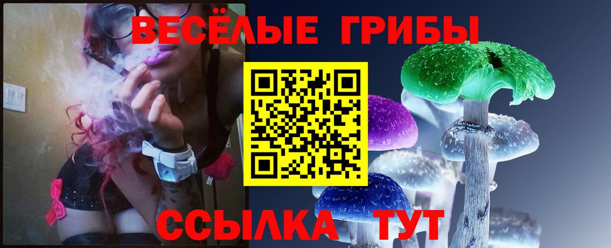 где найти наркотики  Галлюциногенные грибы мухоморы  Псилоцибиновые грибы GOLDEN TEACHER  Вход с VPN  Дзержинский 