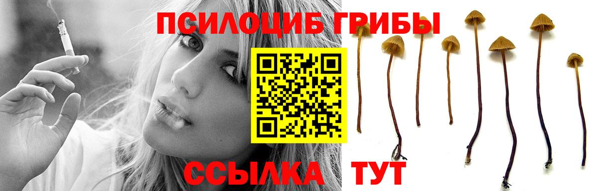 Alpha PVP СК кристаллы  Кокаин  Купить наркотики  Дзержинский  ГАШИШ  Вход с VPN  Гашиш  Марихуана  Меф МЯУ МЯУ  Меф МЯУ МЯУ кристаллы 